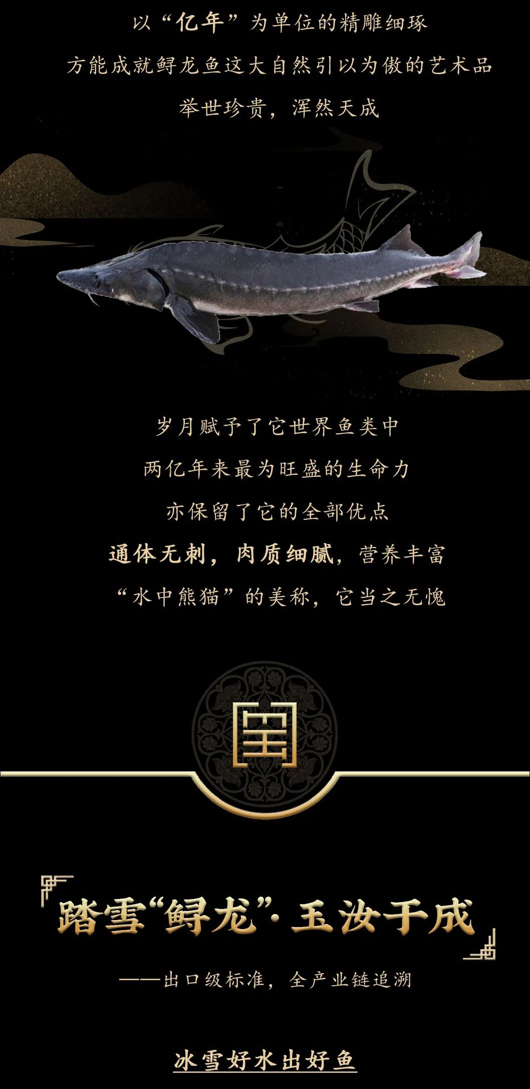 九州鱘龍魚片上新 | 自然臻藏，獻(xiàn)給吃魚有講究的人